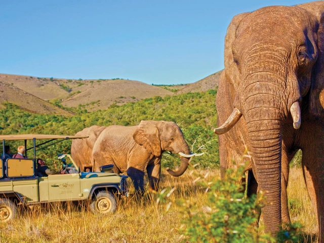 Exploring South Africa, Victoria Falls, and Botswana