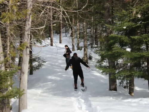 Snowshoe Excursion