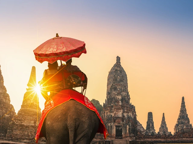 Guided Vacations