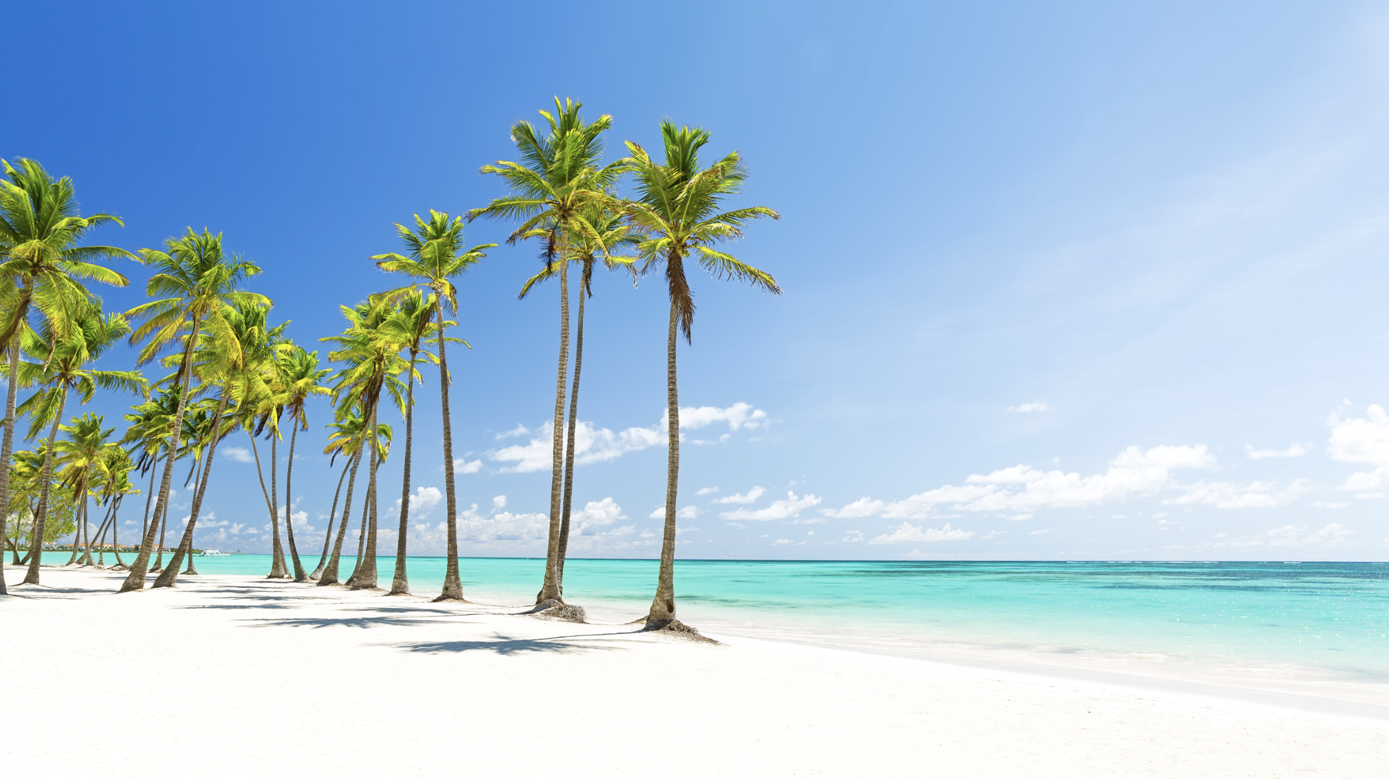 Celebrate the North, Escape to the South with Sunwing