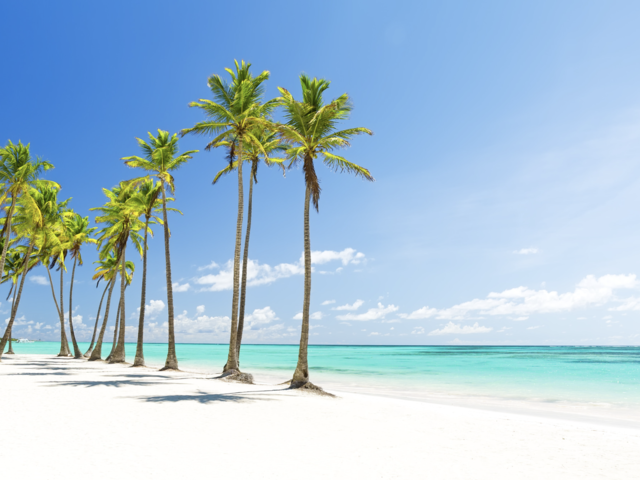 Celebrate the North, Escape to the South with Sunwing
