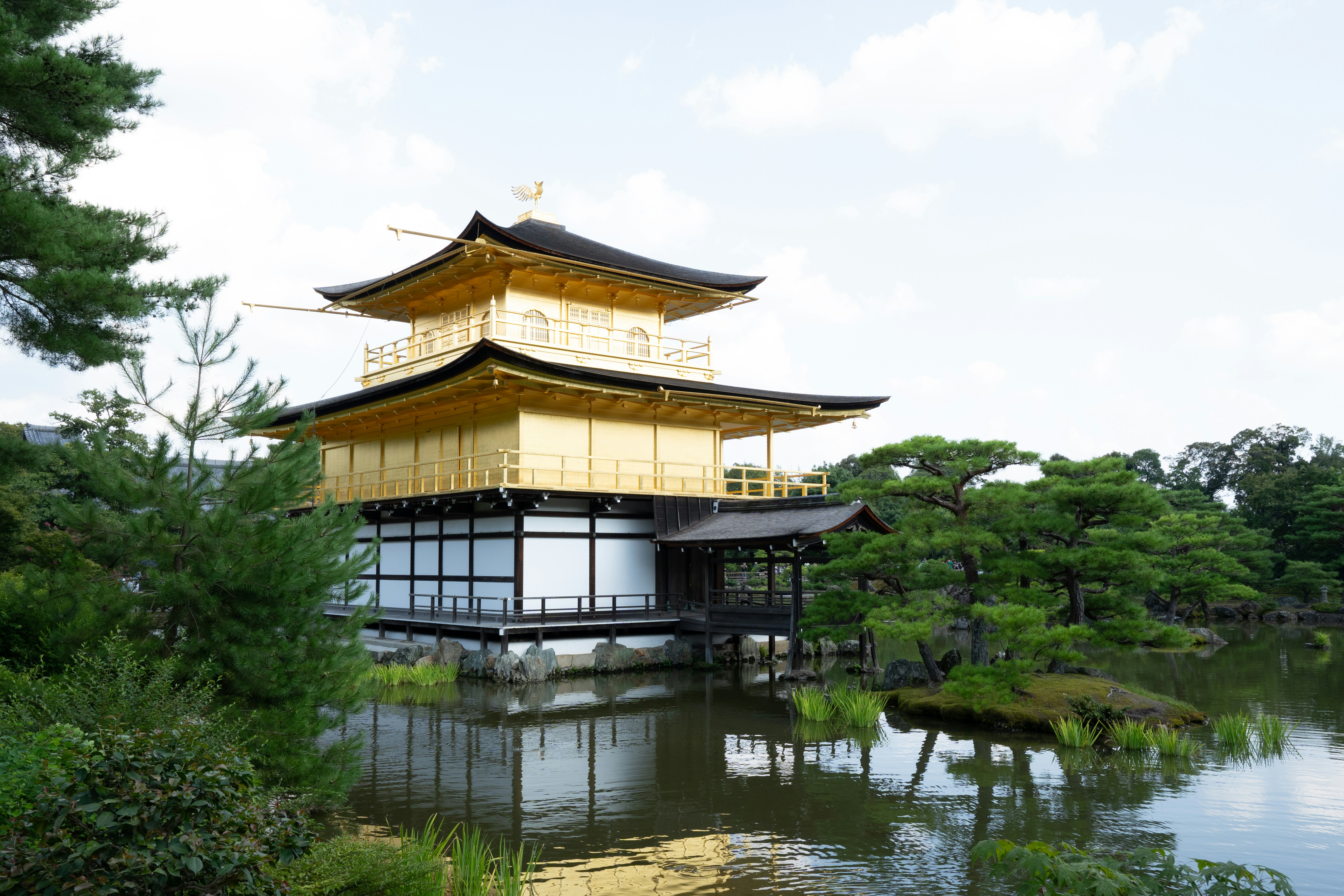 Golden Tenple Kyoto