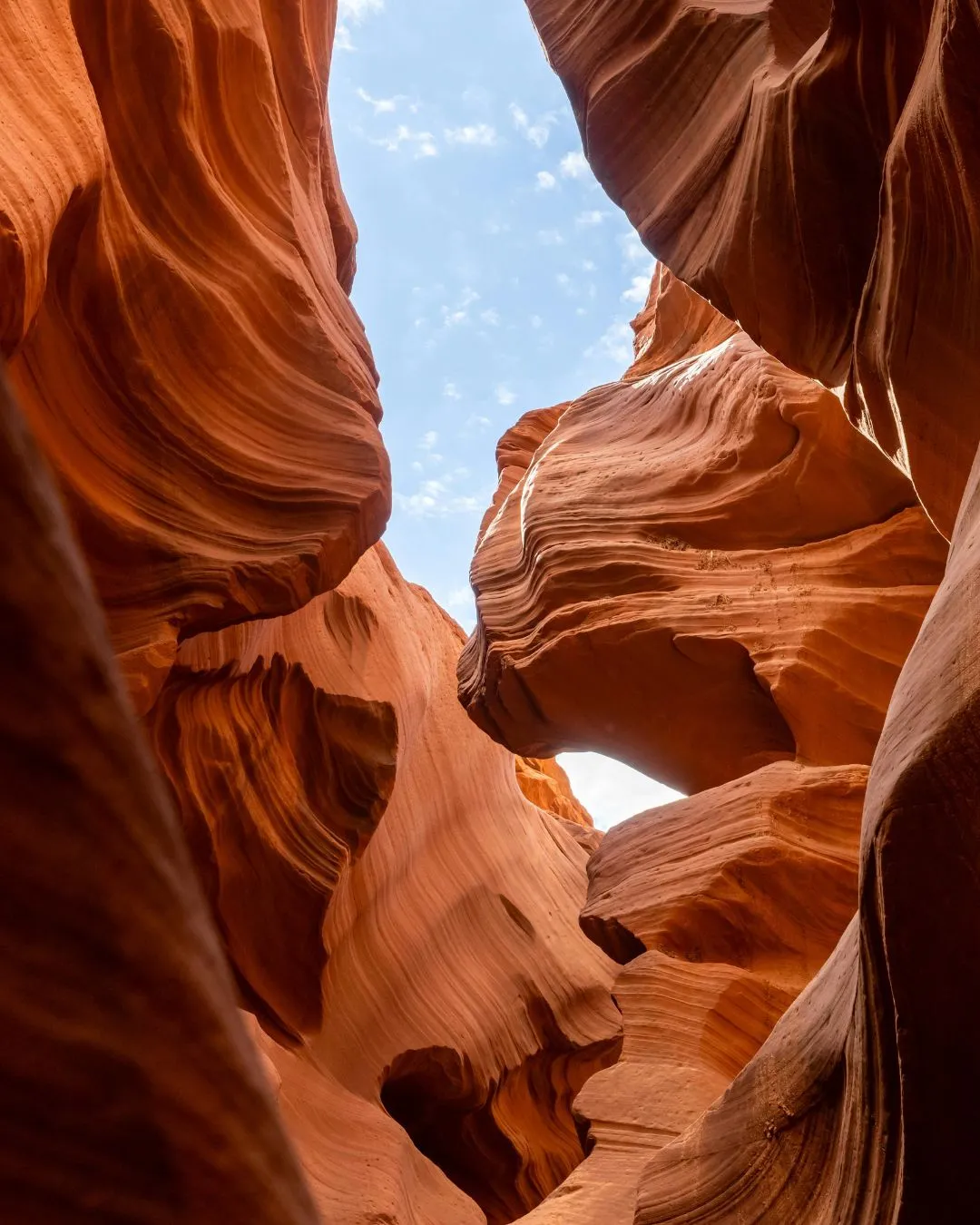 Happy 4th of July! Unlock Exclusive Discounts on Selected Itineraries