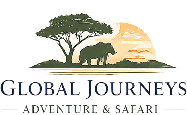 Safari