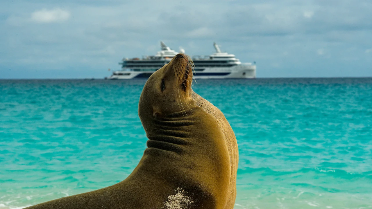 Celebrity Cruises Is Taking You Closer to the Galápagos