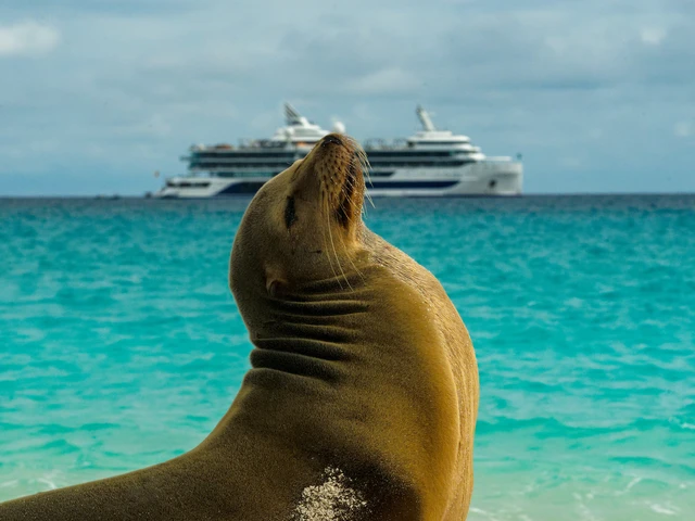 Celebrity Cruises Is Taking You Closer to the Galápagos
