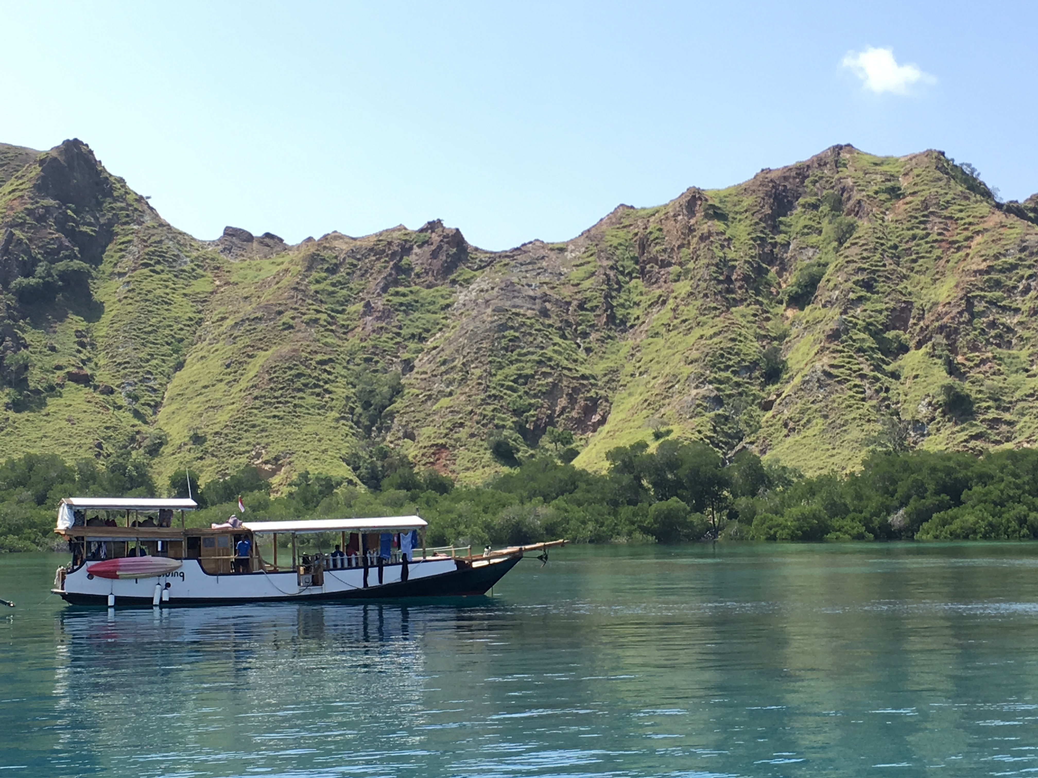 Cruising the Coral Triangle: The Ultimate Guide to Indonesia Liveaboard