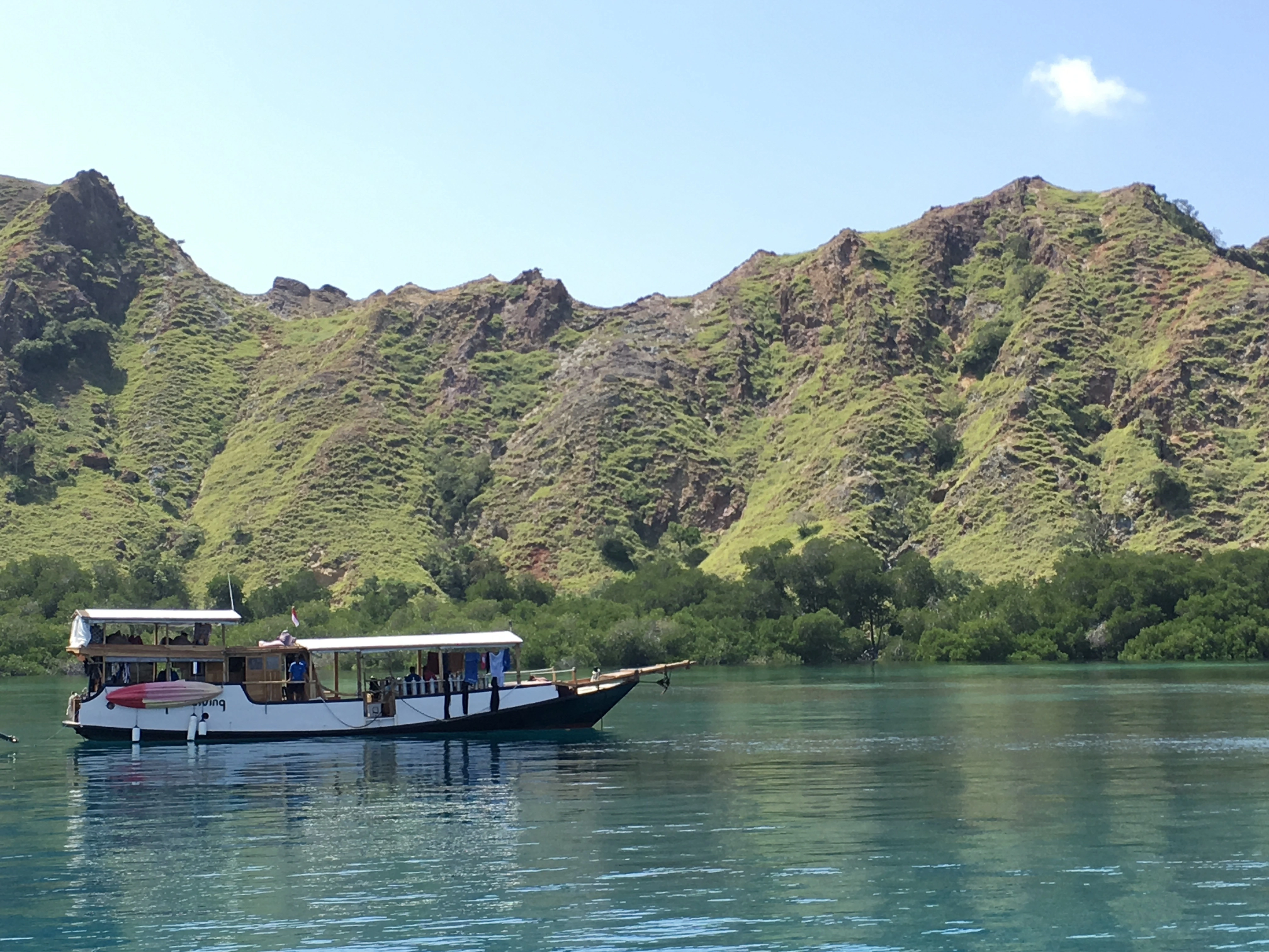 Cruising the Coral Triangle: The Ultimate Guide to Indonesia Liveaboard