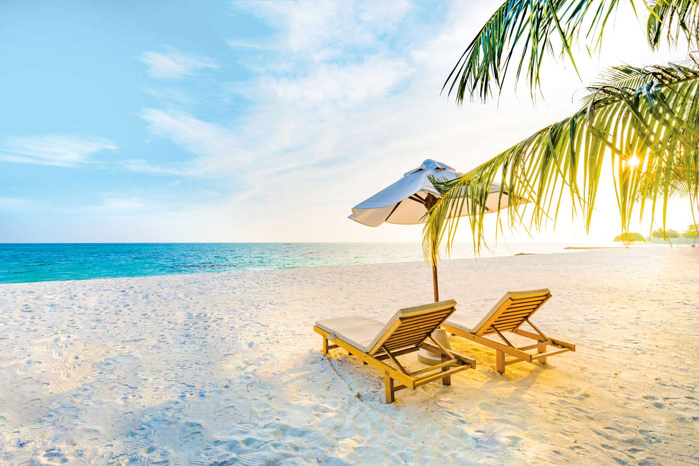 Warning: Daydreaming May Lead to Booking