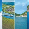 40% Off for Scenic and Emerald Cruises' Summer Black Friday Sale