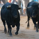 Spain’s Summer Spectacles