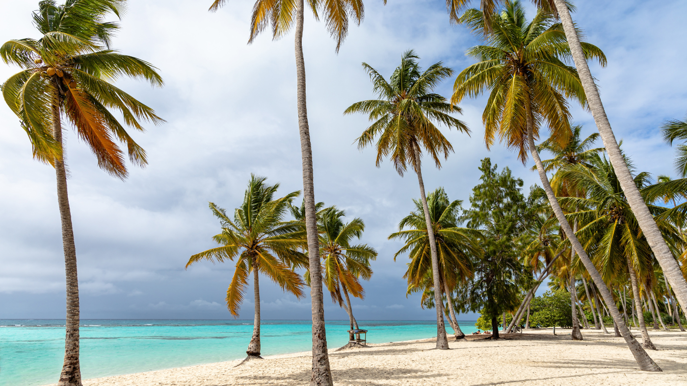 Your Perfect Caribbean Escape Starts Here