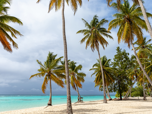 Your Perfect Caribbean Escape Starts Here