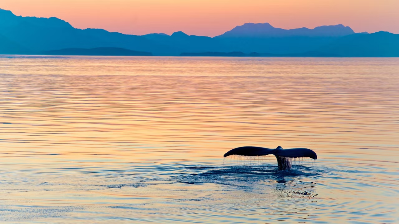 Inside Passage (Cruising)