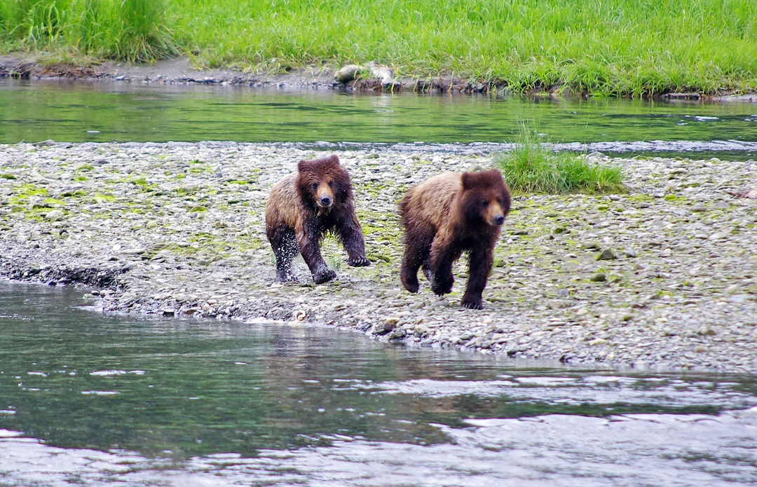 CRUISING: INSIDE PASSAGE, ALASKA