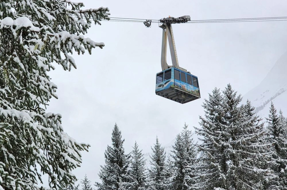 GIRDWOOD