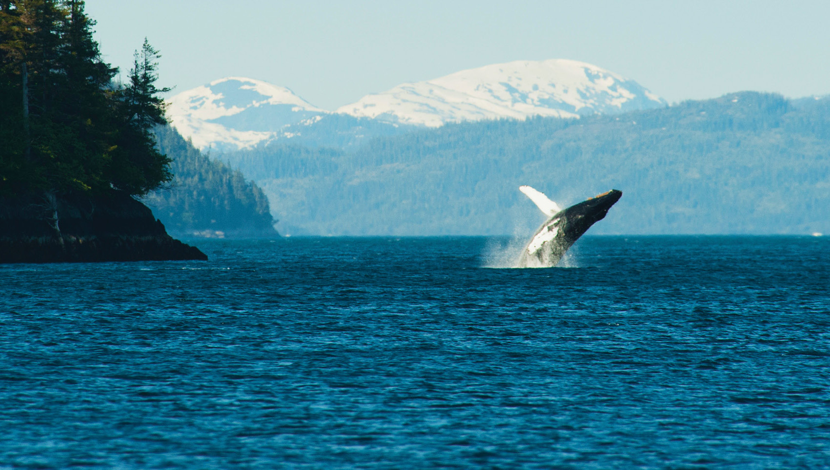 Spectacular Alaska! With Alaska Cruise - May 2027