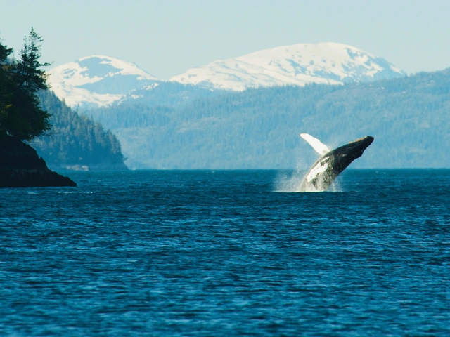 Spectacular Alaska! With Alaska Cruise - May 2027