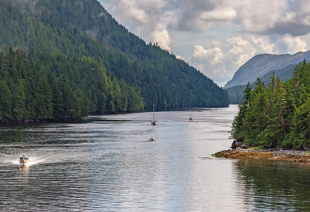CRUISING: INSIDE PASSAGE