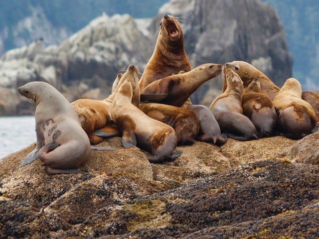 Nature's Best: Alaska With Alaska Cruise - Aug 2027