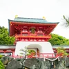 Journeys Through Living Cultures Hiroshima to Otaru