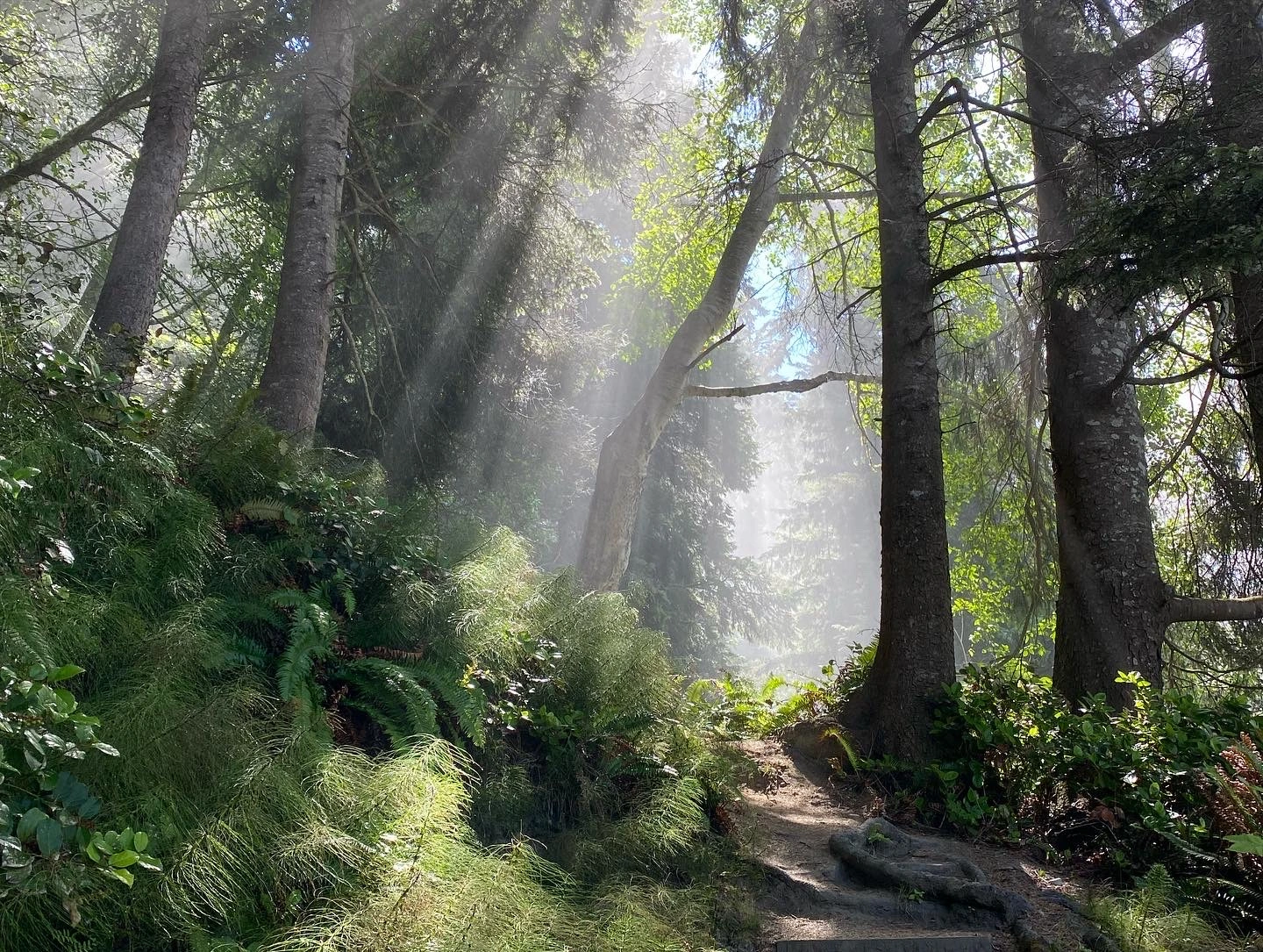 Branching Out: Why WTD Has A Blog