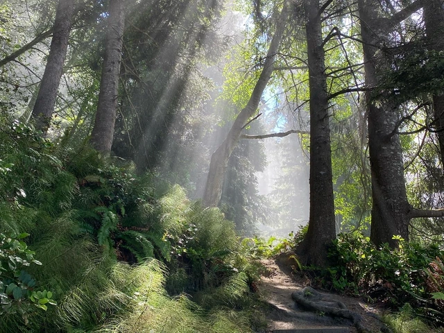 Branching Out: Why WTD Has A Blog