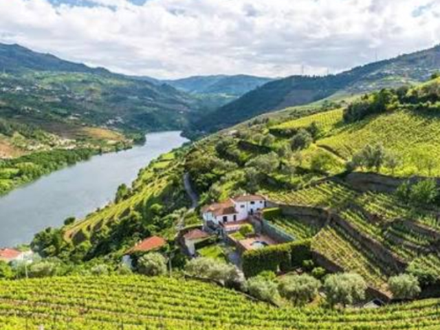 Viseu to Porto via Douro Valley