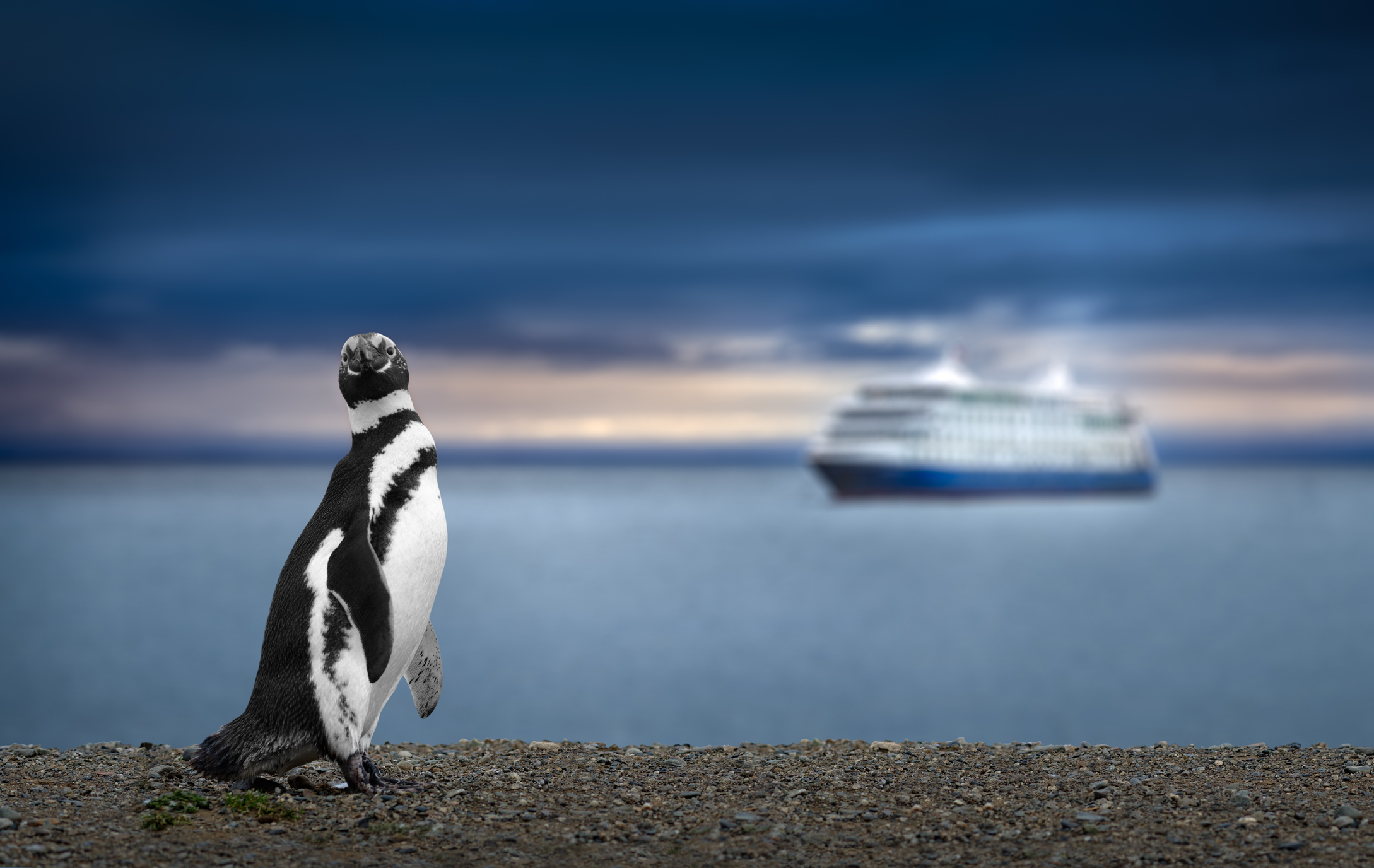Expedition Cruises
