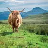 Scotland with McTavish Travel
