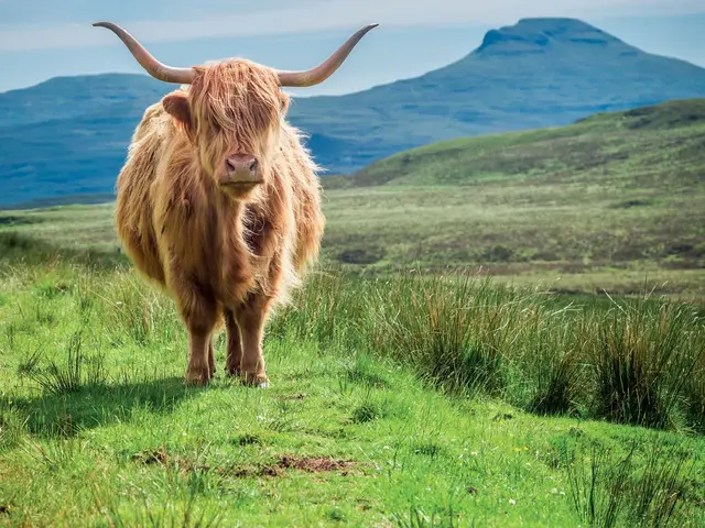 Scotland with McTavish Travel