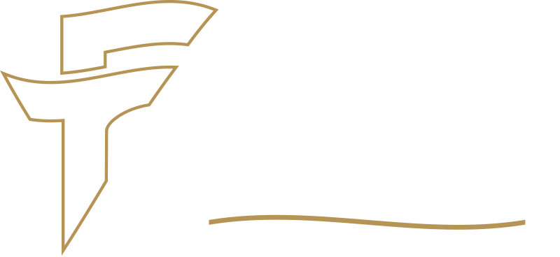 Flair Travel V2