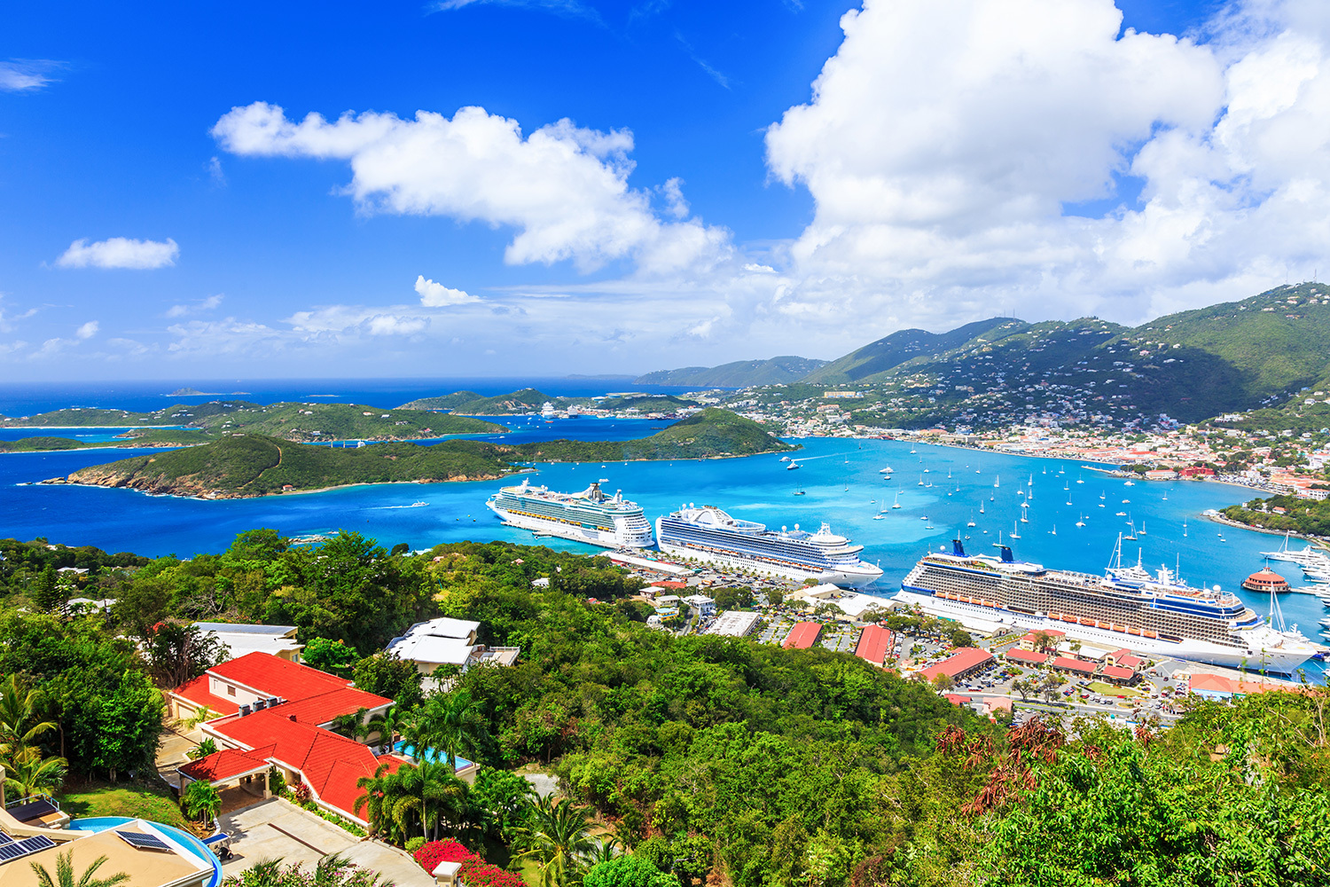 Ocean Cruise