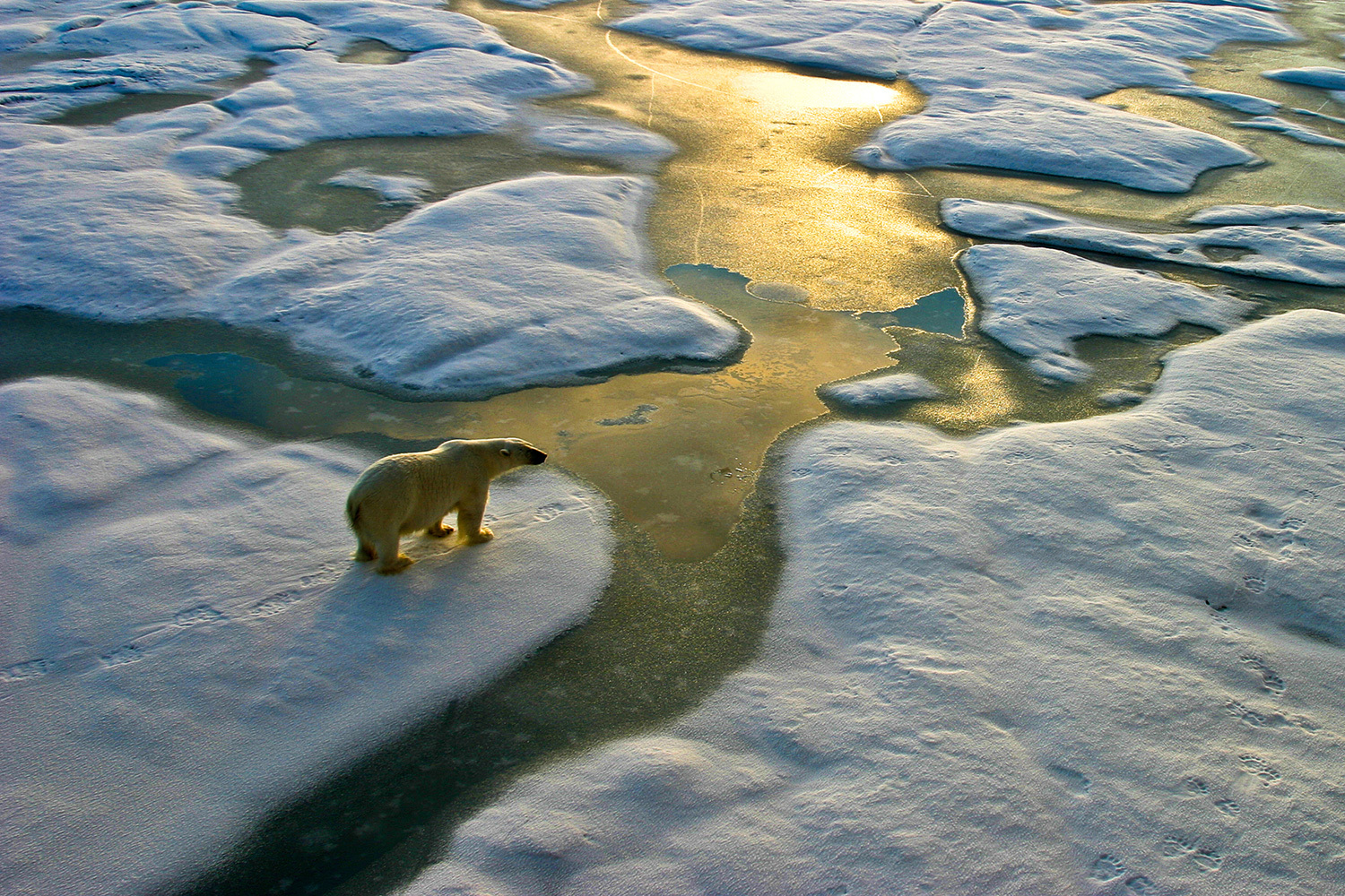 Expedition Cruise