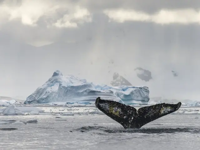 A More Intimate Way to Experience Antarctica with Terra Nova Expeditions