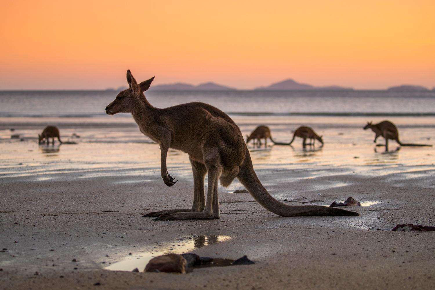Australia & New Zealand Vacations