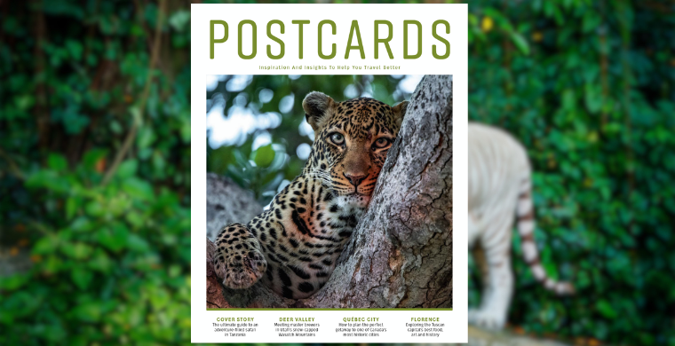 Postcards