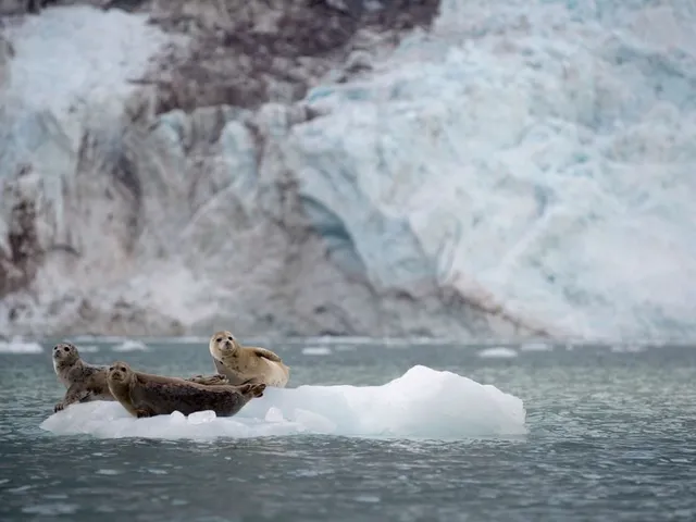 Save $50 per Person + 10% on Select Trafalgar Departures