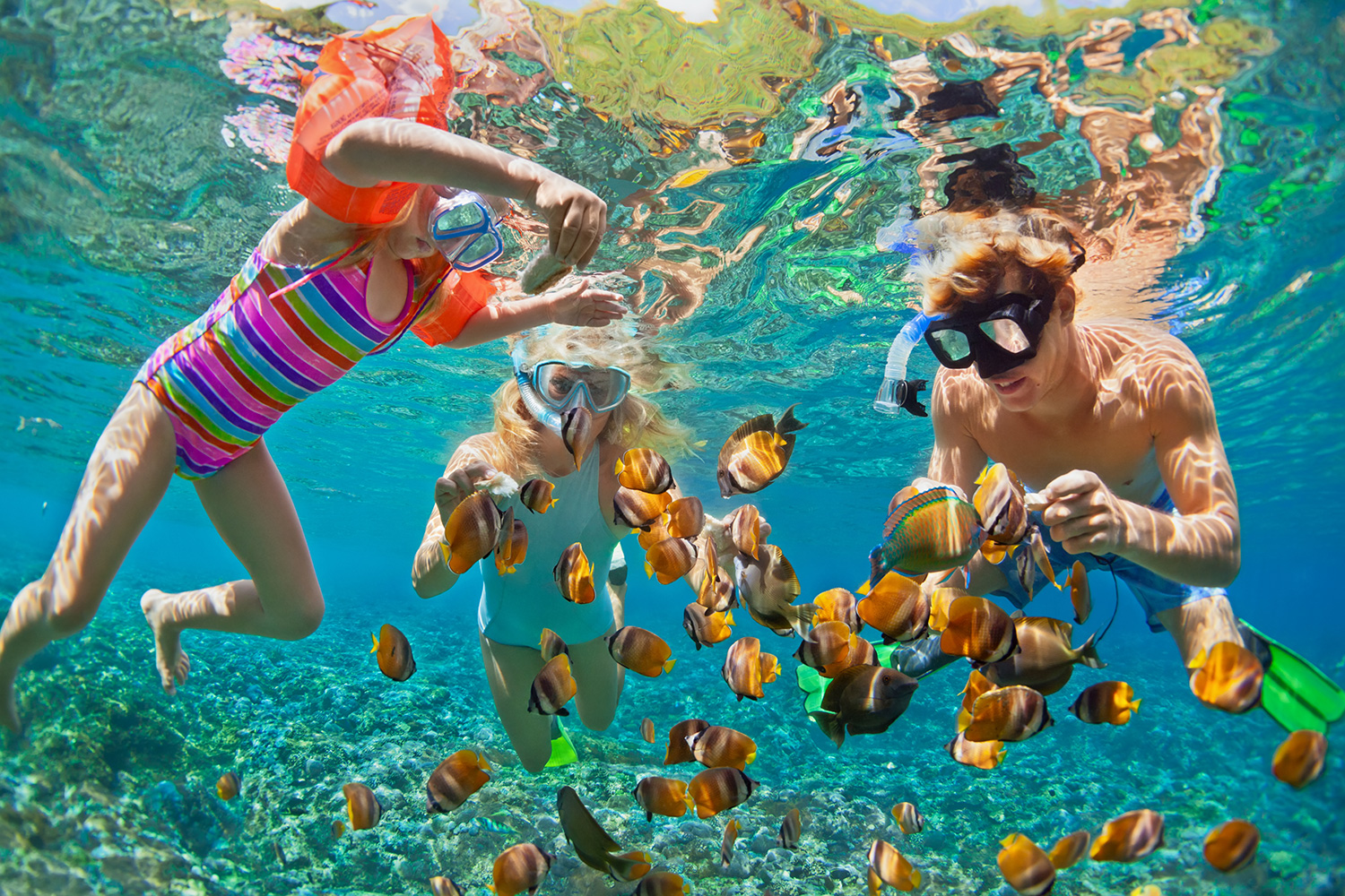 Family Vacations