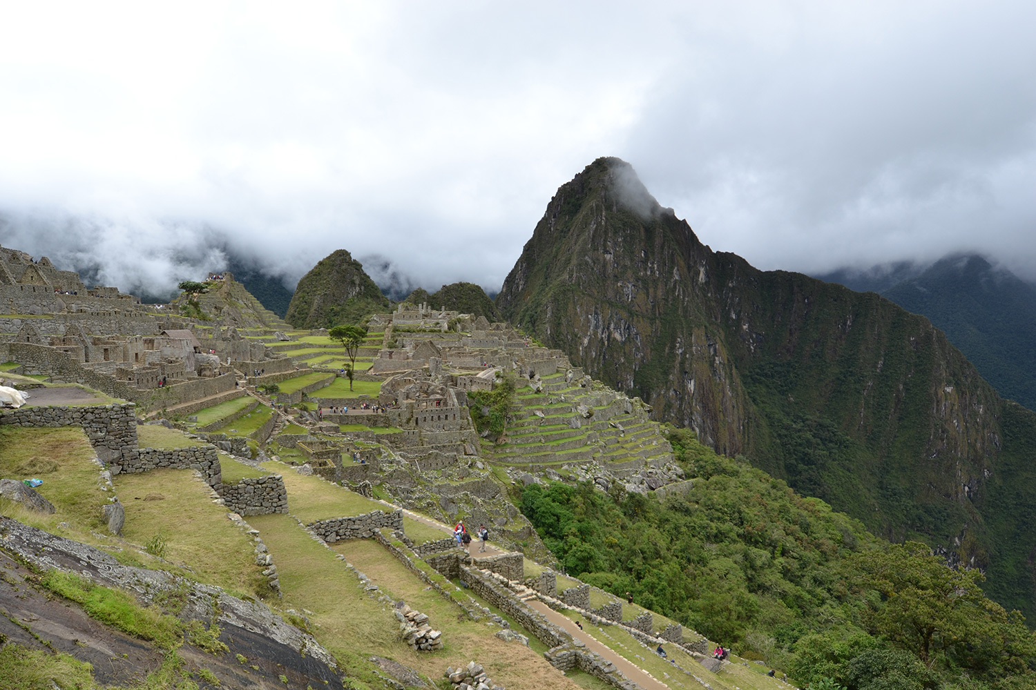 Escorted Vacations