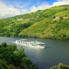 Food Takes Centre Stage with Scenic and Canadian Celebrity Chefs