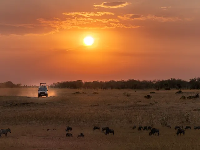 Join Our Exclusive Hosted Group Tour to South Africa