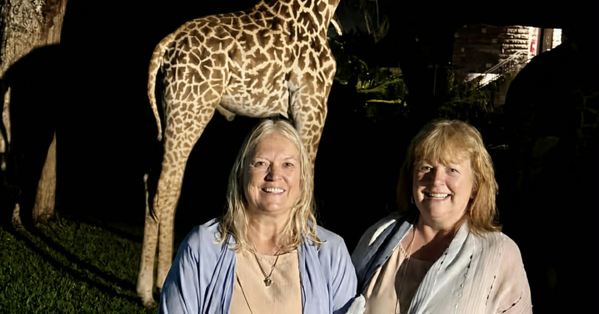 Shellie Sedore's Kenya Safari: When a Leopard Walked Past My Jeep