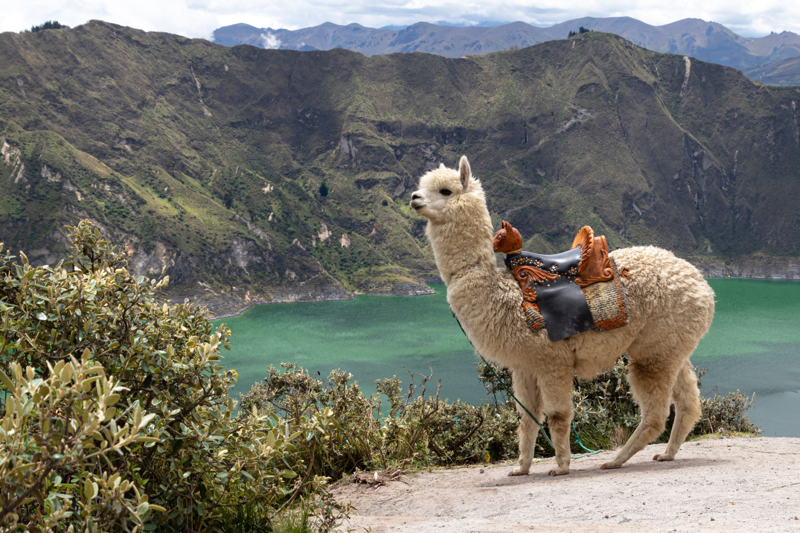 Ecuador: A Journey from the Andes to the Amazon