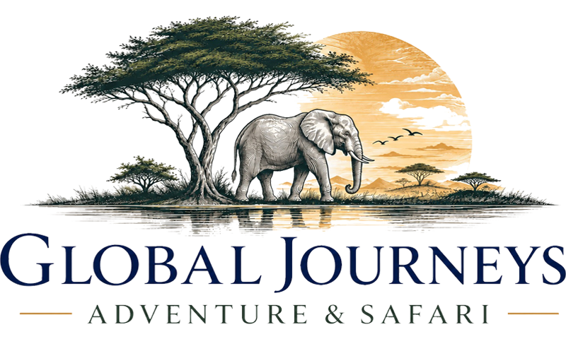 Safari