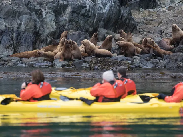 As Seabourn's 2026 Alaska Season Draws to a Close, the Line Looks to 2027