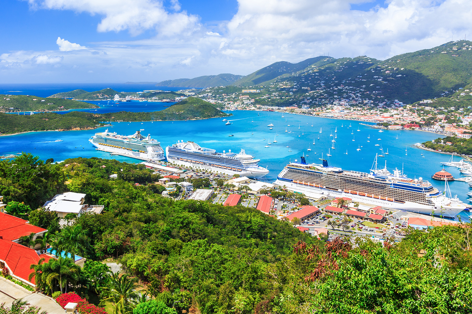 Ocean Cruises