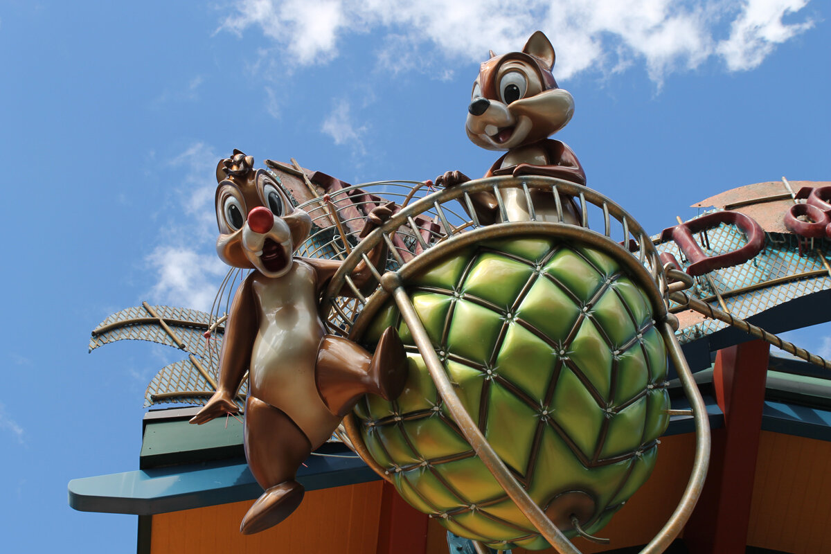 Disney Vacations
