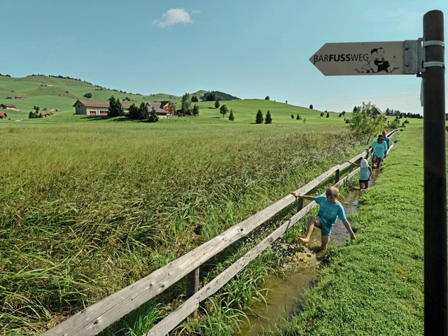 ‘Ditch’ the Boots: Switzerland’s Barefoot Hiking Revival