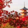 The Only Country Celebrating the Autumn Equinox as a National Holiday